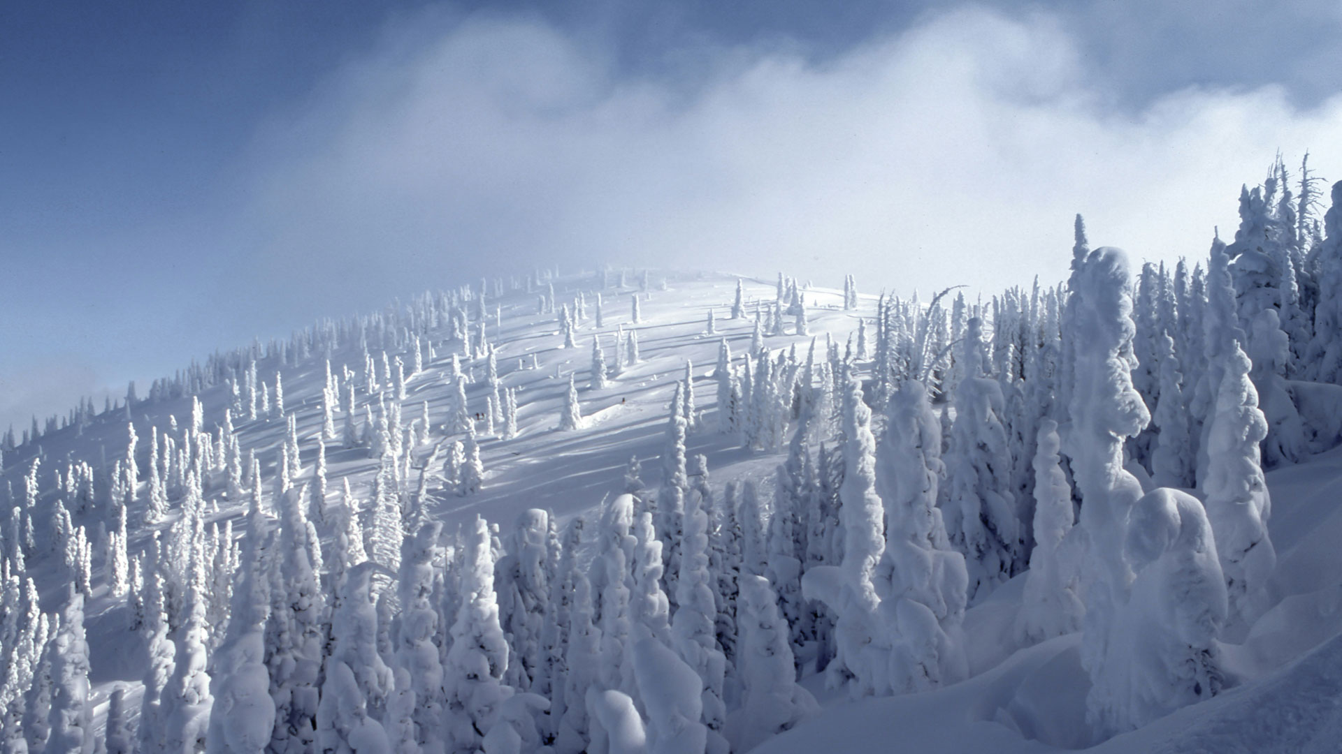 The Art and Science of Winter Layering: A Runner’s Guide to Not Becoming a Popsicle